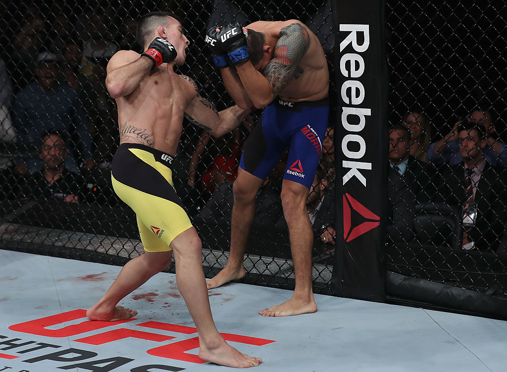 SAO PAULO, BRAZIL - NOVEMBER 19: Thomas Almeida of Brazil punches Alberto Morales of the United States during their bantamweight bout at the UFC Fight Night Bader v Minotouro at Ibirapuera Gymnasium on November 19, 2016 in Sao Paulo, Brazil. (Photo by Buda Mendes/Zuffa LLC)