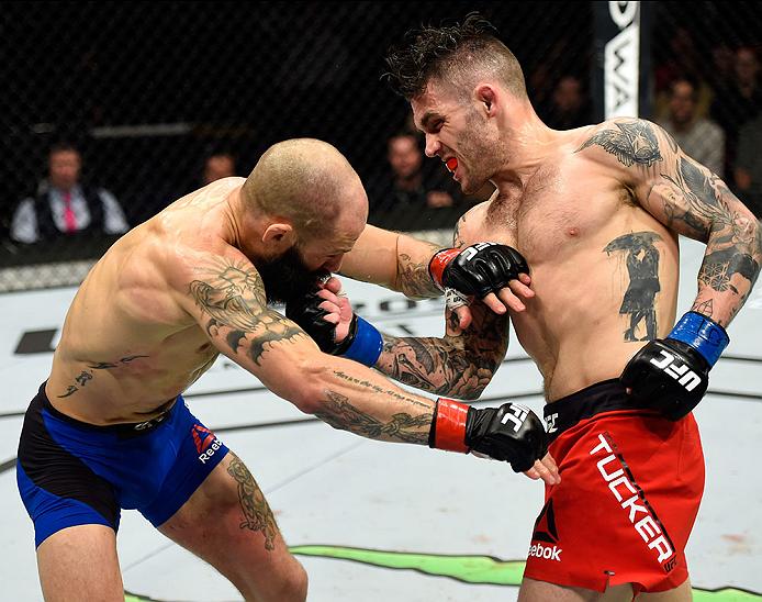 HALIFAX, NS - FEBRUARY 19: (R-L) Gavin Tucker of Canada punches Sam Sicilia in their featherweight fight during the UFC Fight Night event inside the Scotiabank Centre on February 19, 2017 in Halifax, Nova Scotia, Canada. (Photo by Josh Hedges/Zuffa LLC)