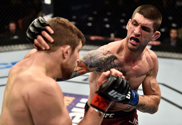 (R-L) Ryan Janes of Canada punches Andrew Sanchez in their middleweight bout during the TUF Finale event inside Park Theater on December 01, 2017 in Las Vegas, Nevada. (Photo by Jeff Bottari/Zuffa LLC)