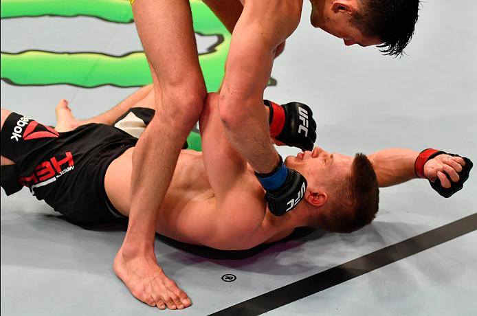 Damir Hadzovic (top) punches Marcin Held during the UFC Fight Night event on May 28, 2017 in Stockholm, Sweden. (Photo by Jeff Bottari/Zuffa LLC)