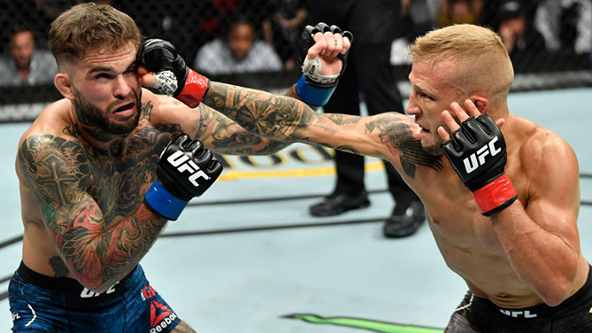 (R-L) <a href='../fighter/TJ-Dillashaw'>TJ Dillashaw</a> punches <a href='../fighter/cody-garbrandt'>Cody Garbrandt</a> in their UFC bantamweight championship fight during the UFC 227 event inside Staples Center on August 4, 2018 in Los Angeles, California. (Photo by Jeff Bottari/Zuffa LLC)“/>That’s a wrap! The bad blood between TJ Dillashaw and Cody Garbrandt is over – for now. The reigning bantamweight champion put an exclamation point on the rivalry after defeating ‘No Love’ by first round TKO at UFC 227 in Los Angeles. So now that the dust has settled, what’s next for Dillashaw?</p><p>Immediately after his incredible flyweight title victory over <a href=