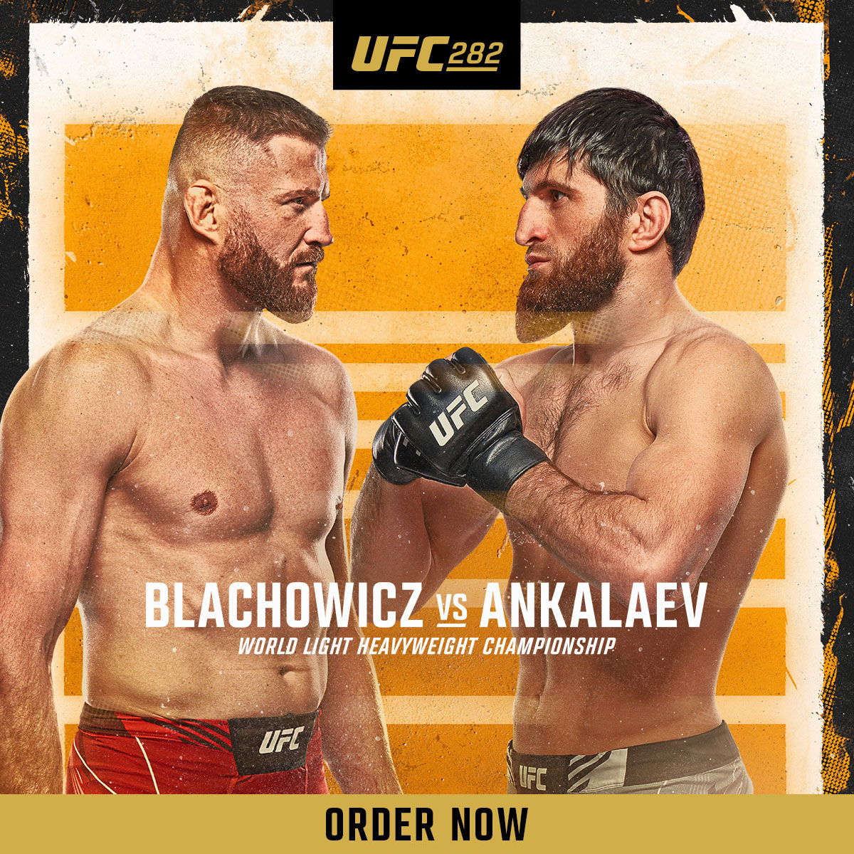 UFC 282: Blachowicz vs Ankalaev